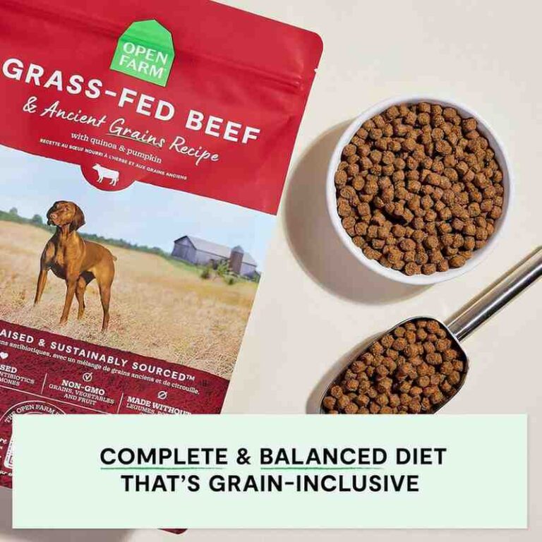 Open Farm, Ancient Grains Dry Dog Food, Protein-Rich & Nutrient Dense, 90% Animal Protein Mixed with Non-GMO Fruits, Veggies and Superfoods, Grass-Fed