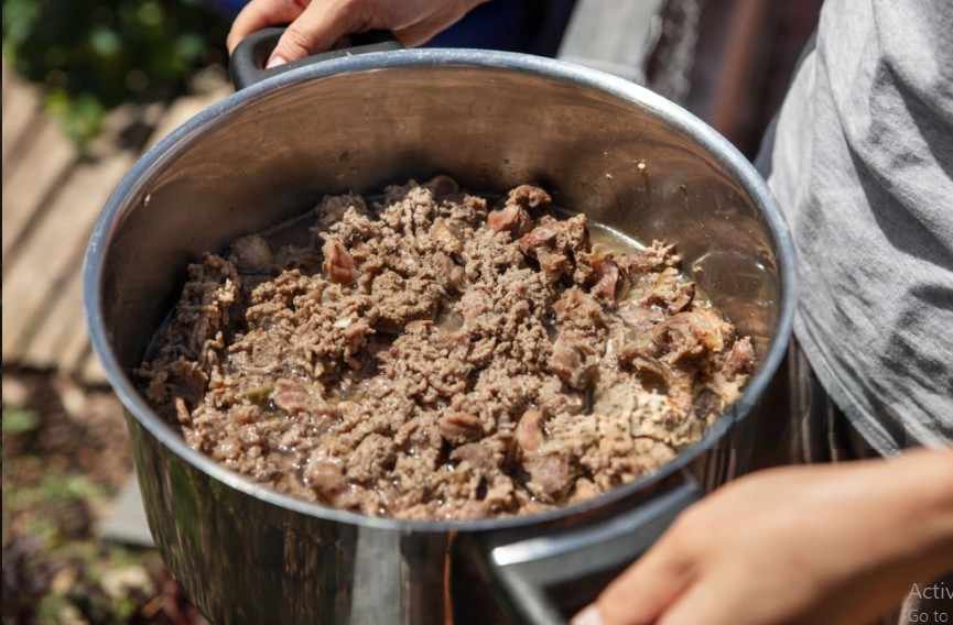 Healthy Dog Diet Homemade