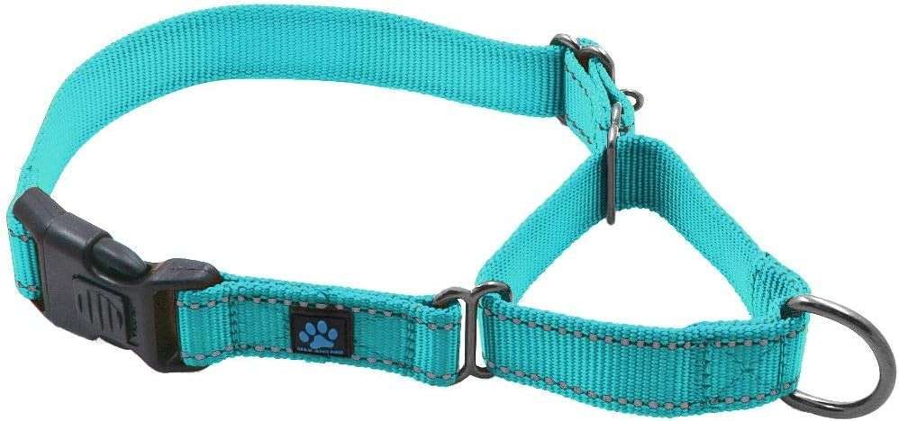 Max and Neo Nylon Martingale Collar, Best Dog Collars