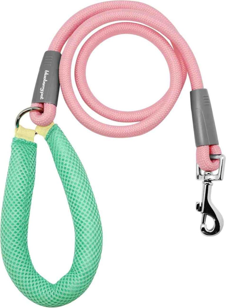 Blueberry Pet Essentials Collar, Best Dog Collars