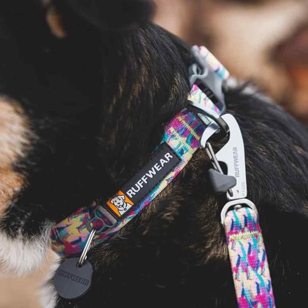 Ruffwear Front Range Everyday Collar, Best Dog Collars