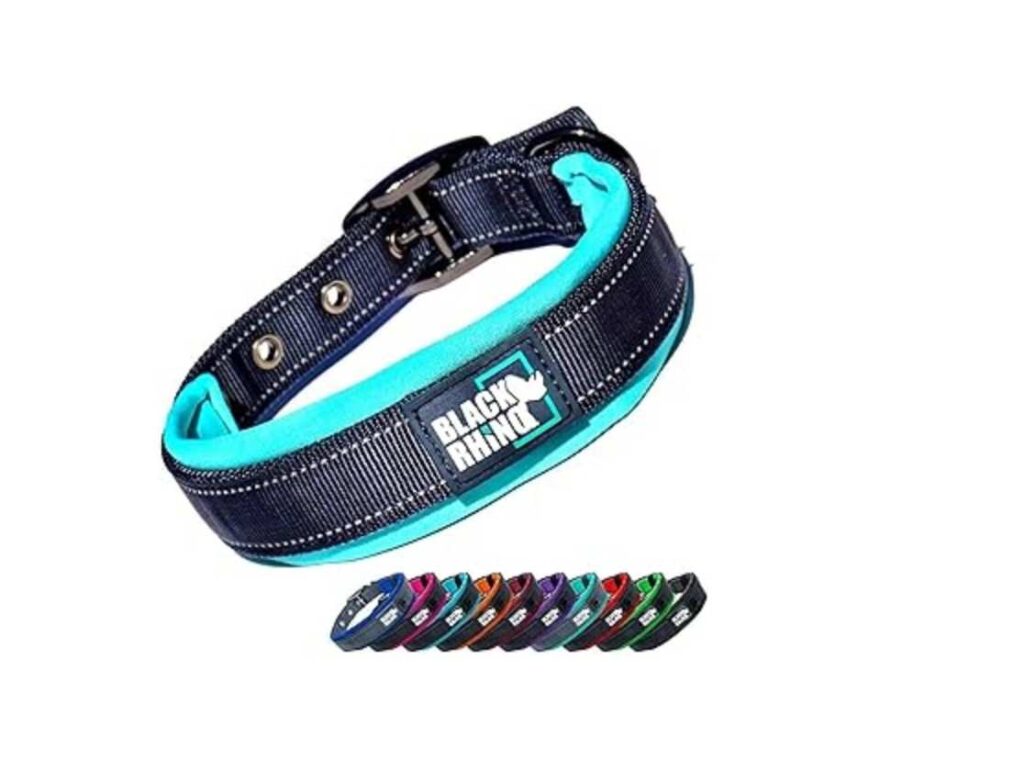 Best Dog Collars