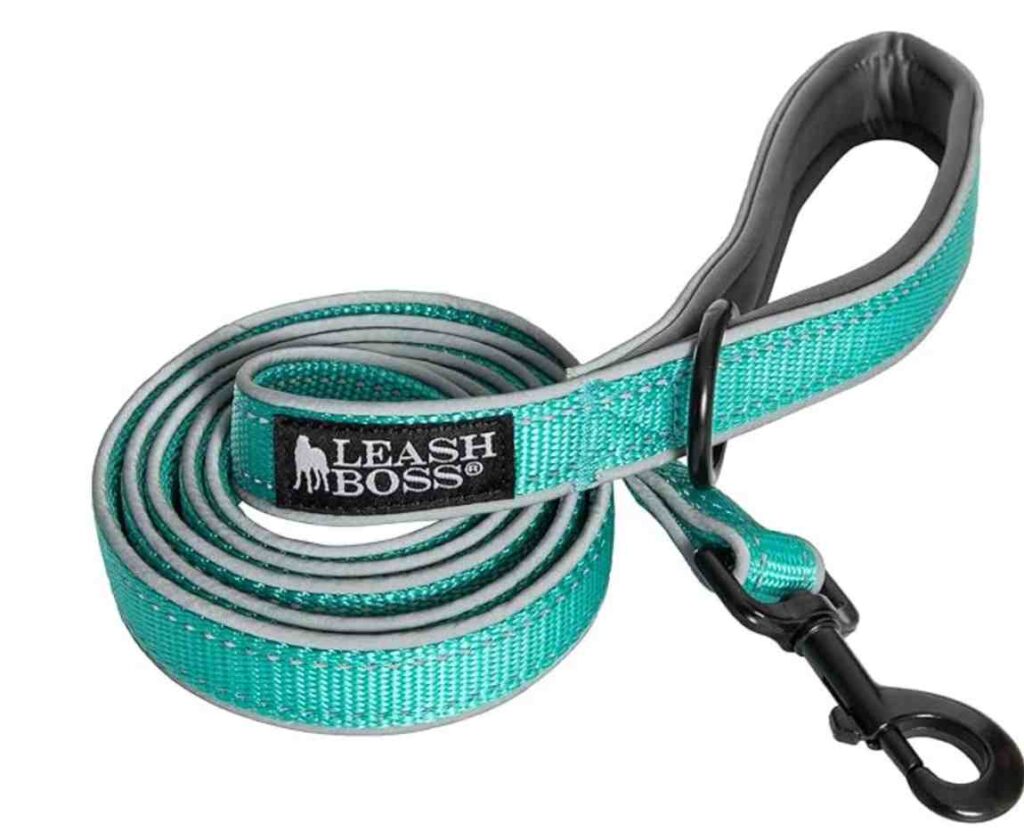 Leashboss Heavy Duty Dog Leash- Best Dog Leash