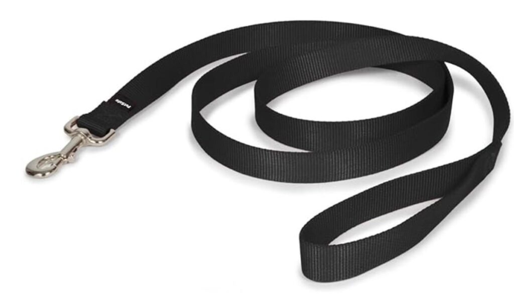 PetSafe Nylon Leash- best durable dog leashes