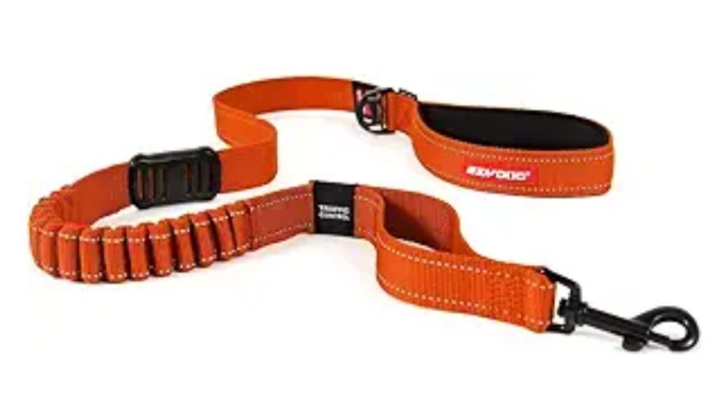 EzyDog Zero Shock Leash- best durable dog leashes