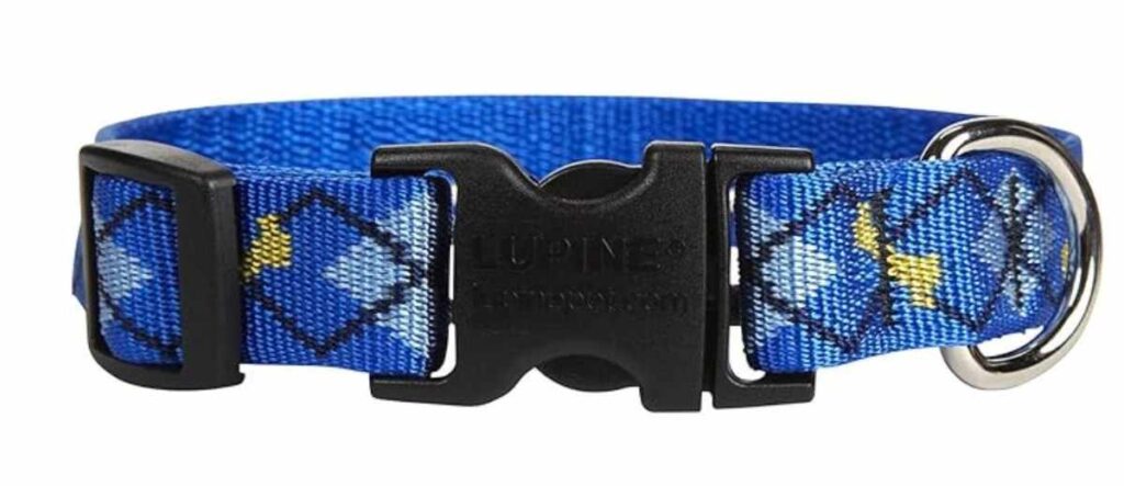 Lupine Pet Eco Dog Collar, Best Dog Collars