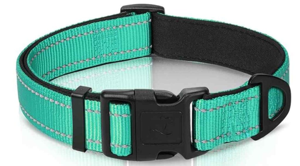 Joytale Reflective Dog Collar