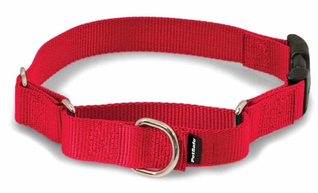 PetSafe Martingale Collar, Best Dog Collars